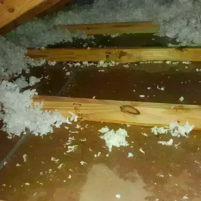 Attic Water Damage in Appleton City, MO