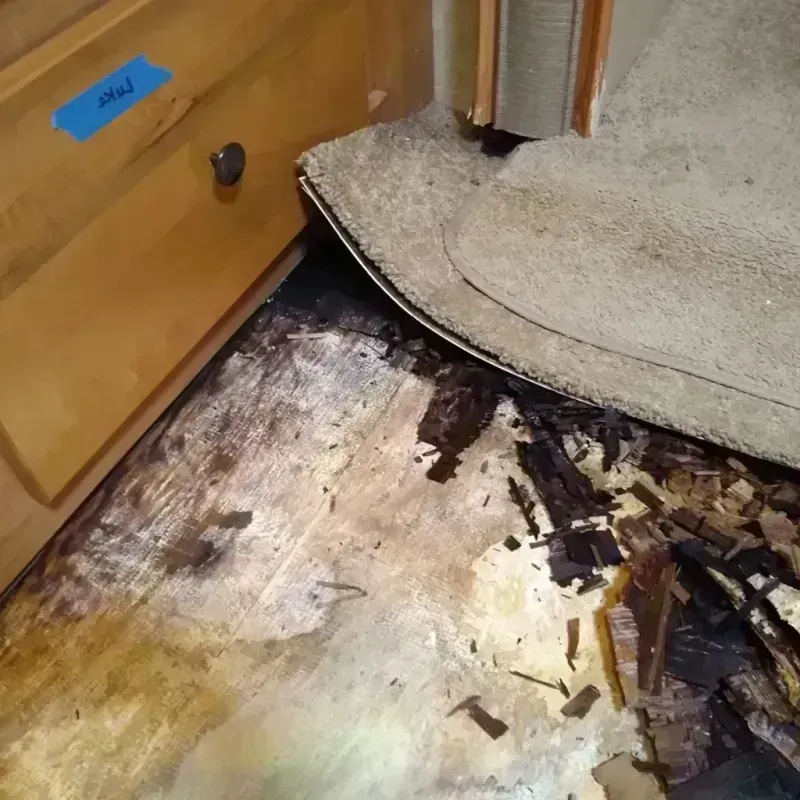 Wood Floor Water Damage in Appleton City, MO